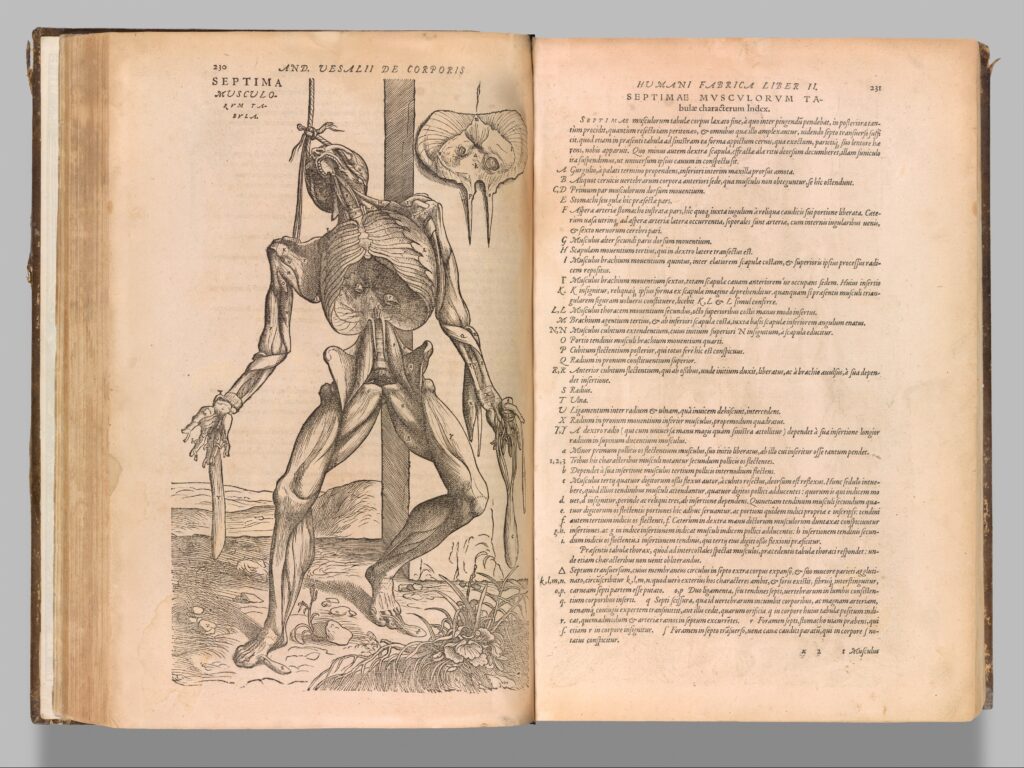Andreas Vesalius' De humani corporis fabrica libri septem