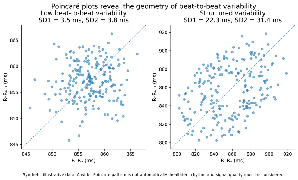 Poincarè plots reveal the geometry of beat-to-beat variability